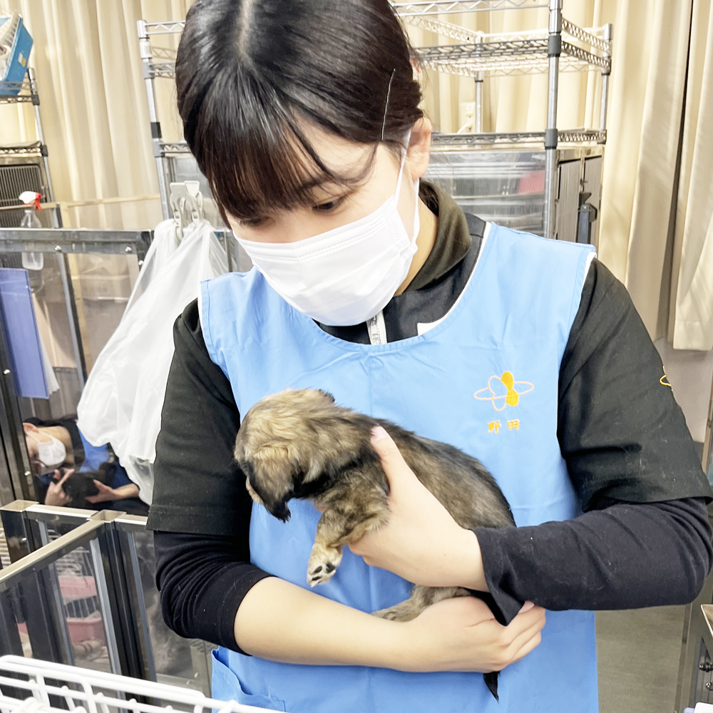 毎日２年生がお世話してくれています☆